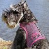Cool Mesh Dog Harness Under the Sea Collection