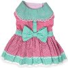 Polka Dot and Lace Dog Dress Set with Leash
